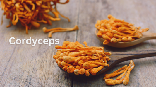 How Cordyceps Kills Hosts & Heals Humans