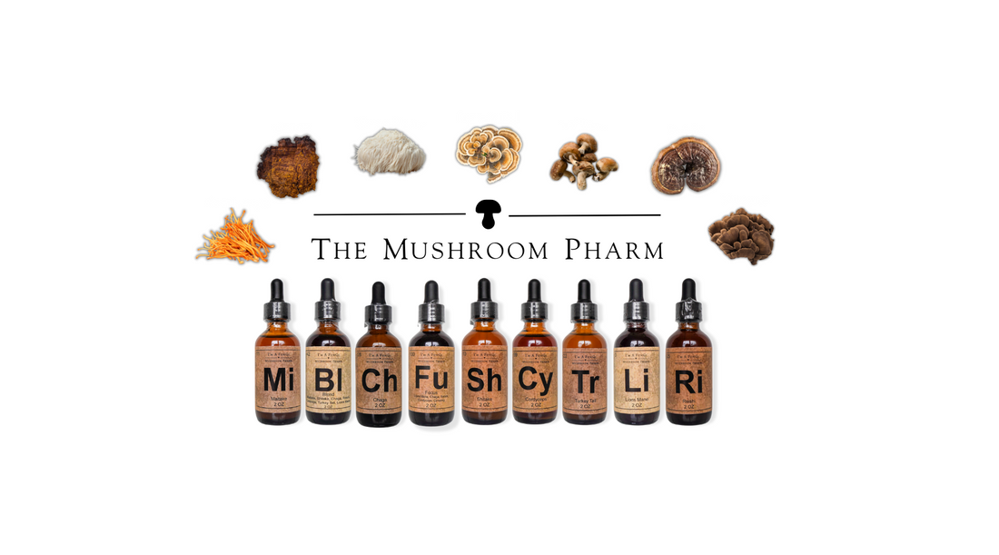 Mushroom Tinctures vs Capsules?