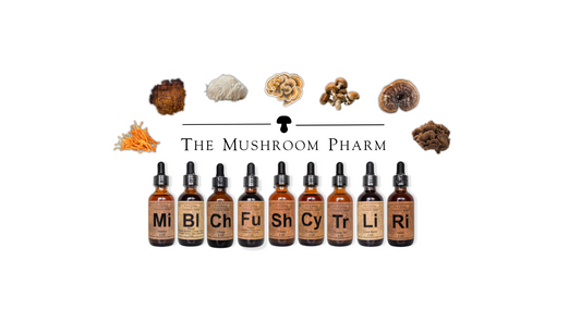 Mushroom Tinctures vs Capsules?