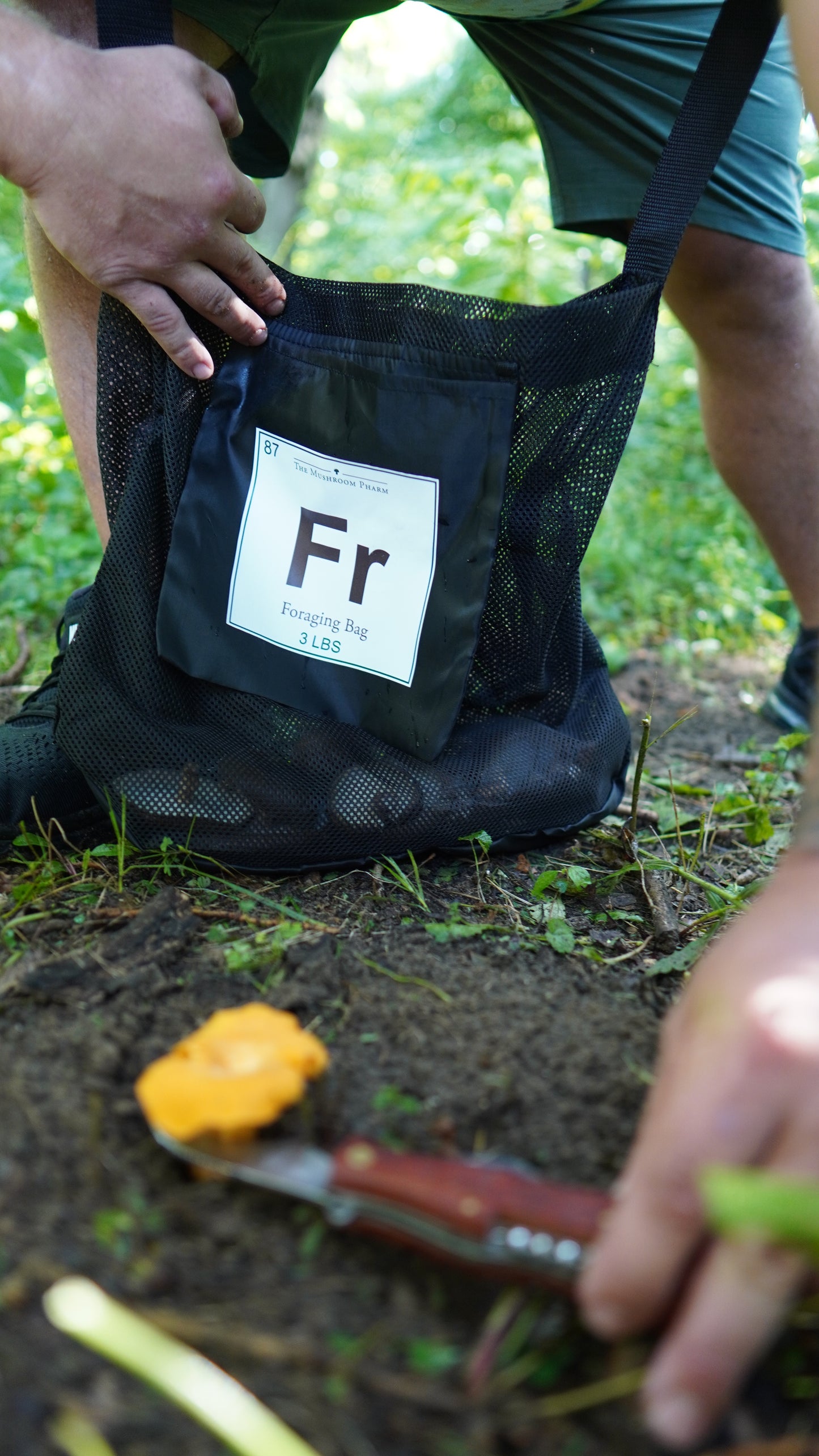 Ultimate Mushroom Forager Bundle