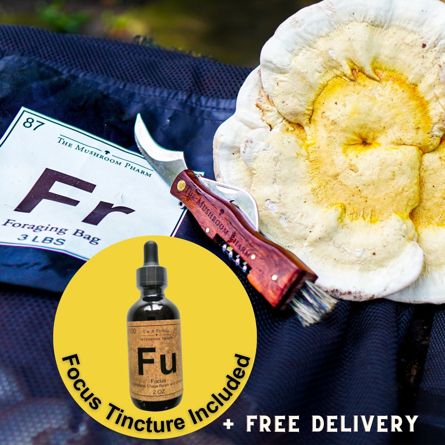 Mushroom Foraging Kit Pro Deluxe