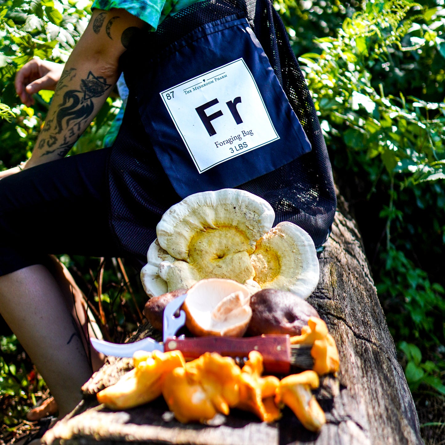 Mushroom Foraging Bag