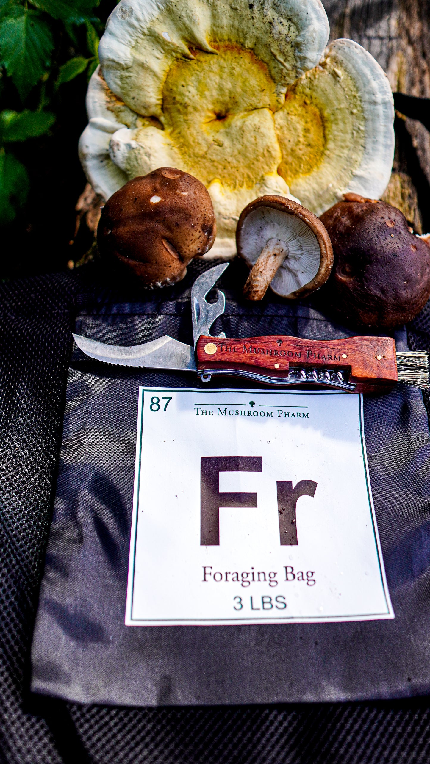 Mushroom Foraging Kit