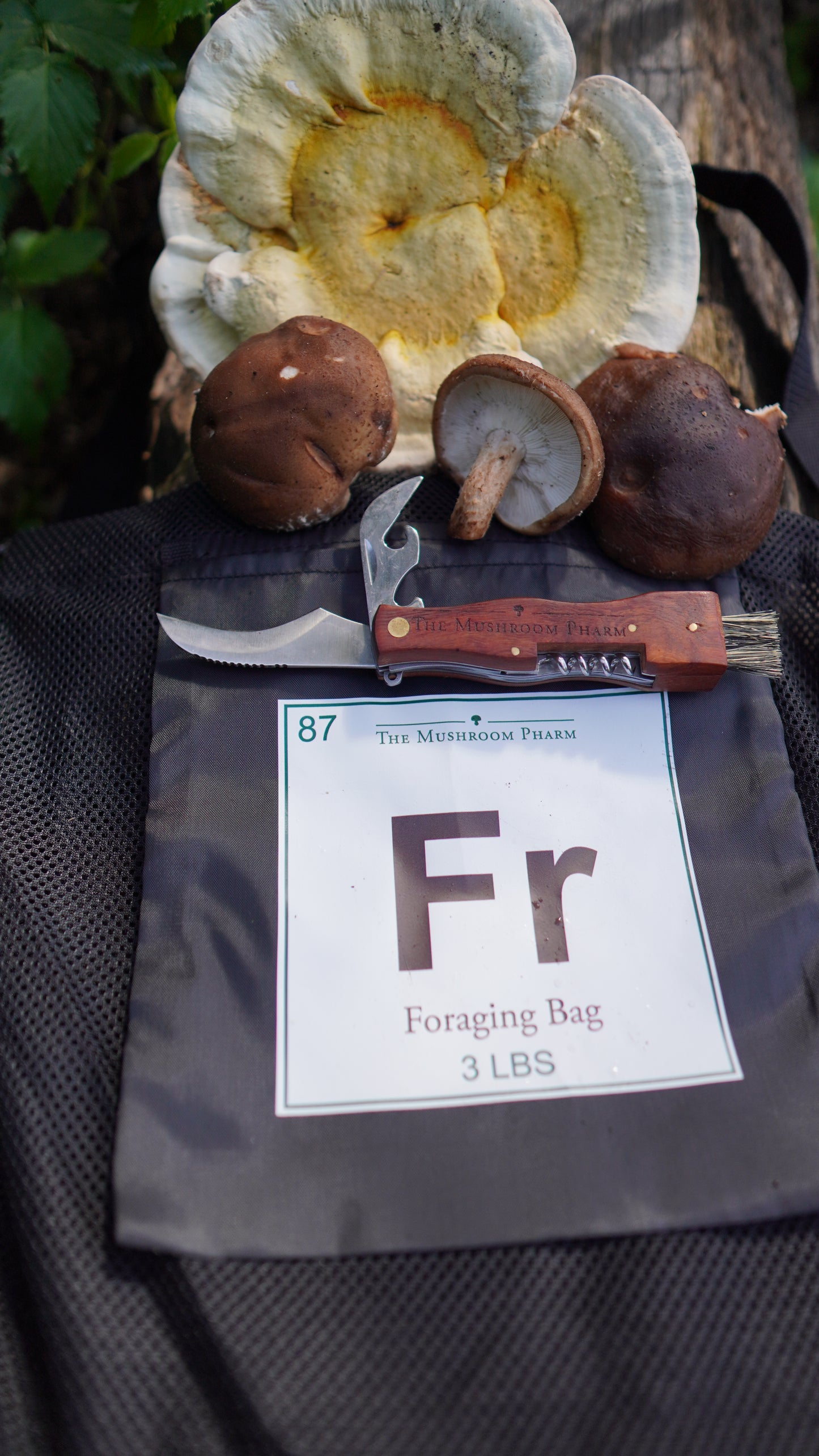 Ultimate Mushroom Forager Bundle