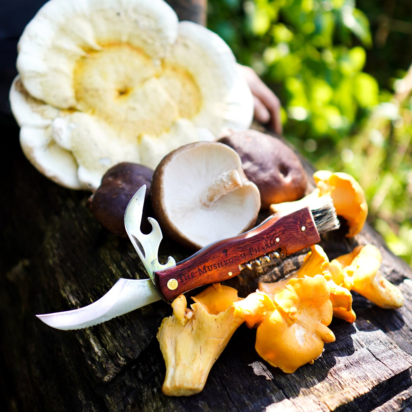 Mushroom Foraging Knife With Multi-Tool