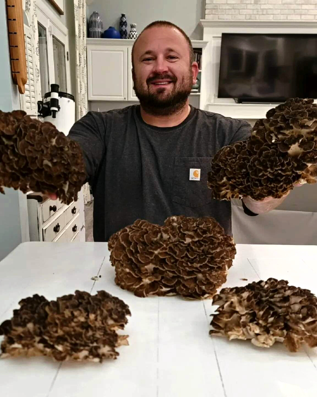 Maitake Mushroom Tincture