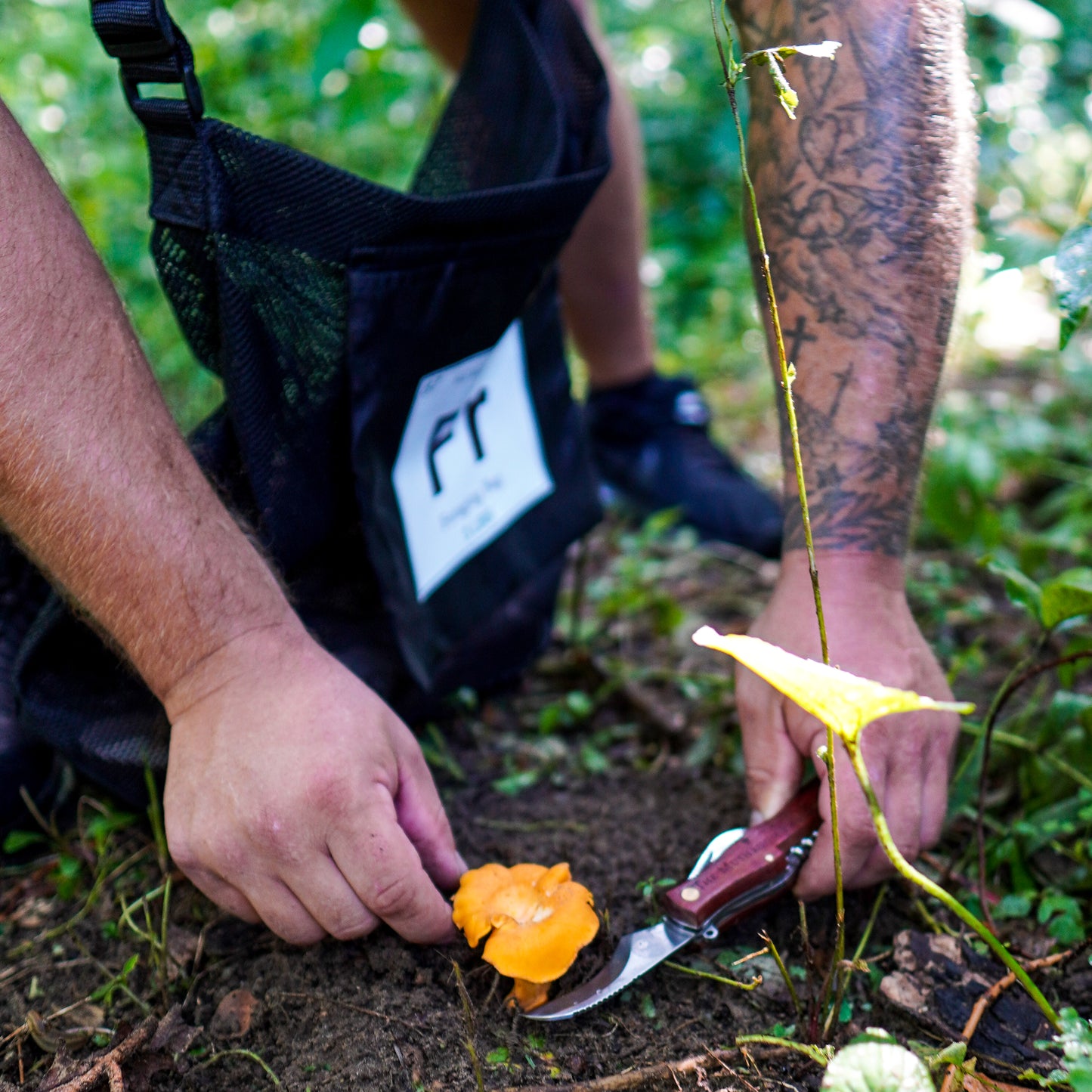 Mushroom Foraging Kit Pro Deluxe