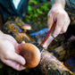 Mushroom Foraging Knife With Multi-Tool