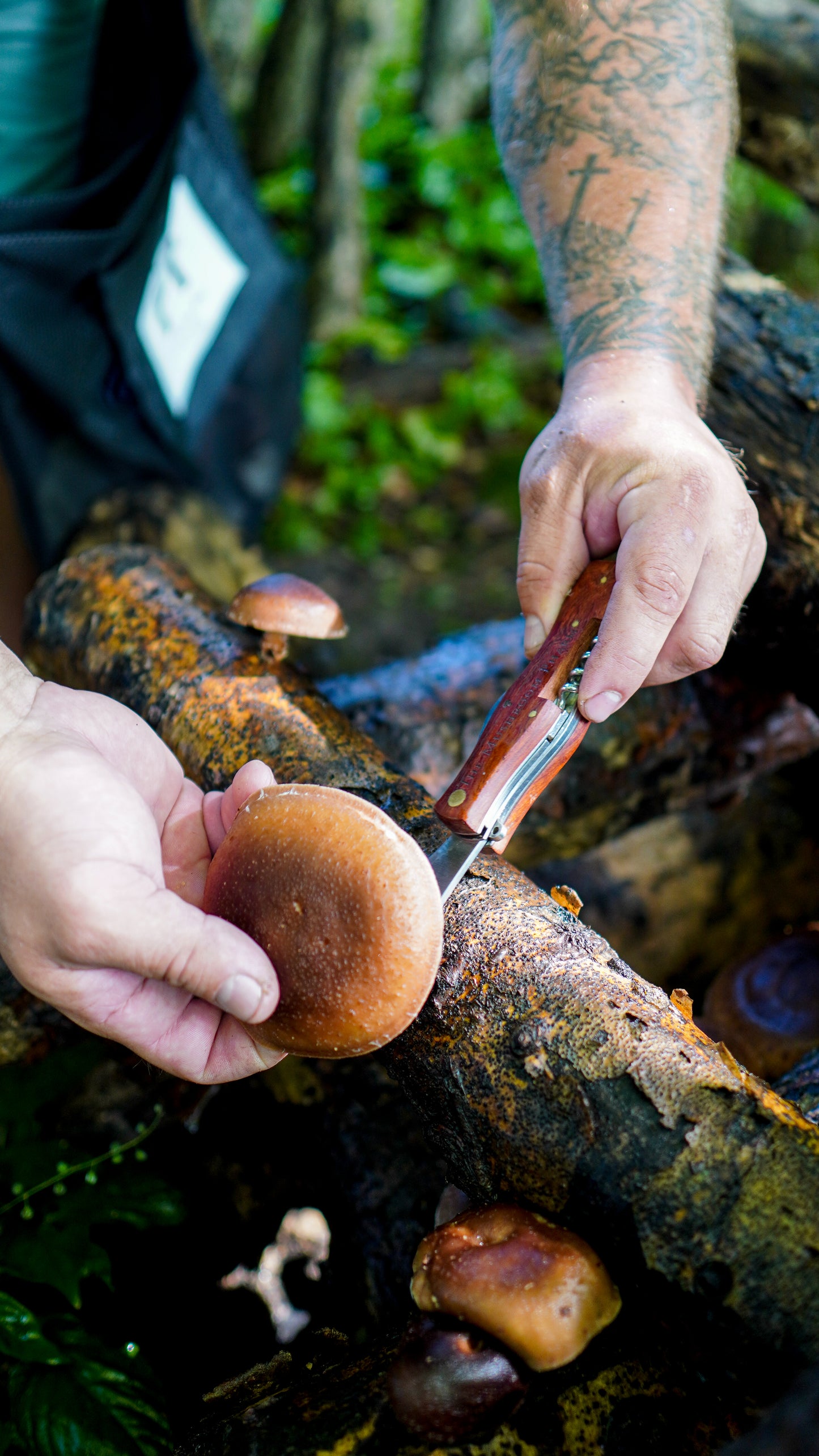 Mushroom Foraging Knife With Multi-Tool