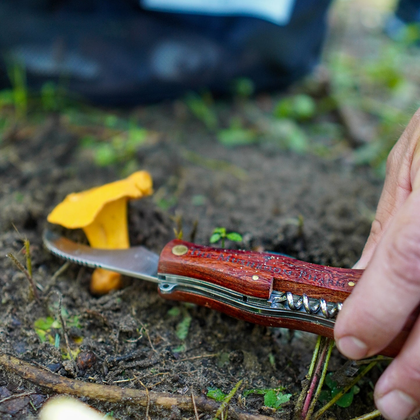 Mushroom Foraging Knife With Multi-Tool