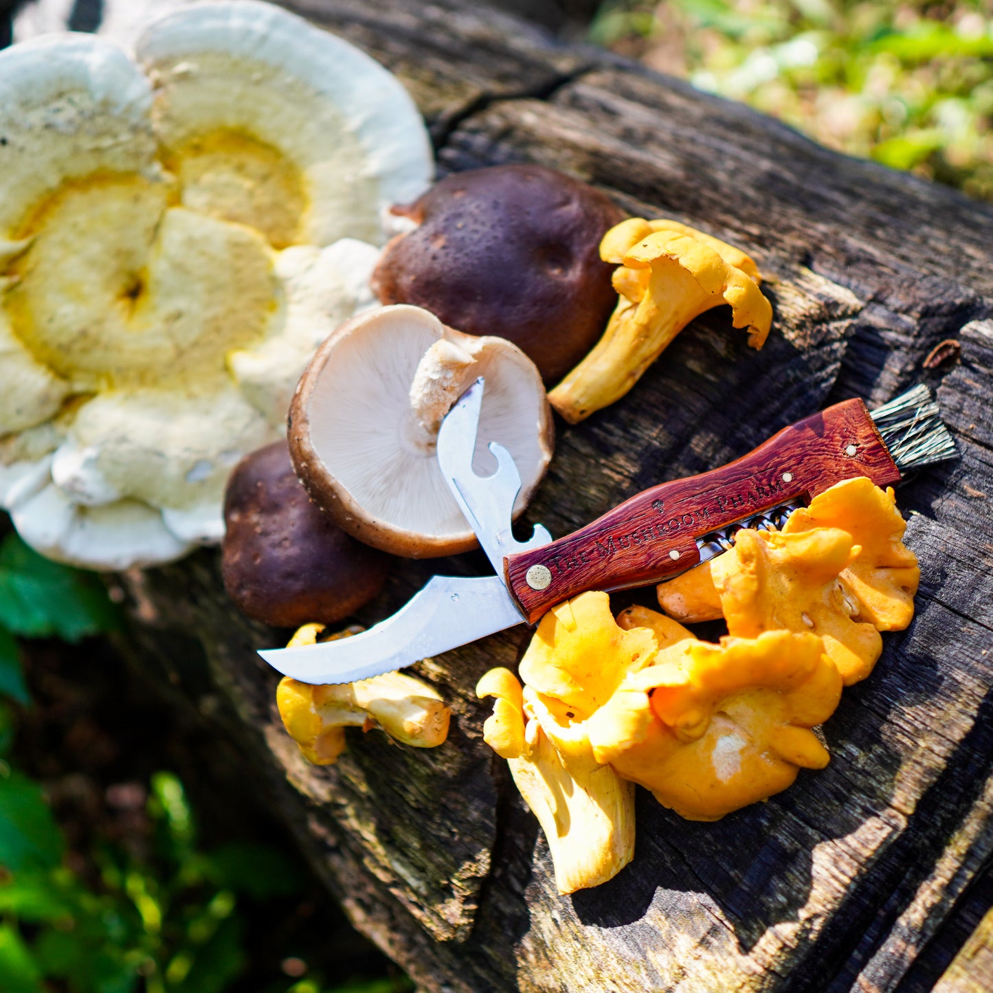 Mushroom Foraging Knife With Multi-Tool